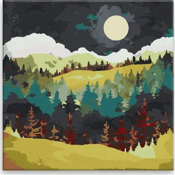 Malování podle čísel - Večerní krajina - 40x40 cm, bez dřevěného rámu - CZ výroba