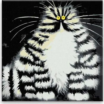 Malování podle čísel - Pohádková kočka - 40x40 cm, bez dřevěného rámu - CZ výroba