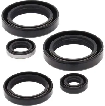Těsnění motoru WINDEROSA sada gufer motoru KAWASAKI KVF 300A PRAIRIE 4X4 99-02, KVF 300B PRAIRIE 2x4 99-02