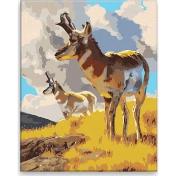 Dětské zboží Malování podle čísel - V záchvěvu větru - 40x50 cm, bez dřevěného rámu - CZ výroba