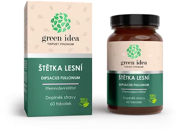 Přírodní produkt Green Idea Štětka lesní 60 tbl.