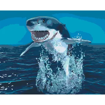 Malování podle čísel - Žralok nad vodou Velikost: 40x50cm, Rámování: Pouze srolované plátno