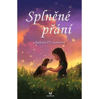 Splněné přání - Barbara O´Connorová…