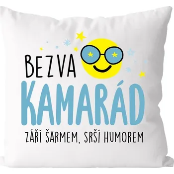 Polštář DIVJA Bezva kamarád - polštářek