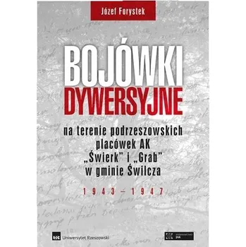 Bojówki dywersyjne TW - Ginter Pierończyk