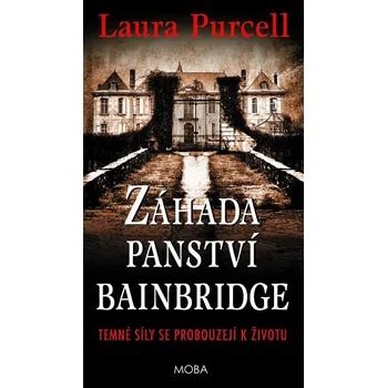 Kniha Záhada panství Bainbridge - Laura Purcell (2021) [E-kniha]