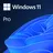 Microsoft Windows 11 Pro, OEM DVD EN 64-bit