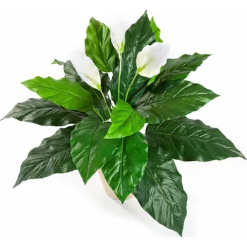 umělá květina Umělá květina Spathiphyllum toulcovka, 70 cm zelená