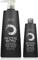 Bes Beauty & Science Color Reflection Shampoo Artic Grey šampon na přípravu studeného tónovaní 300 ml