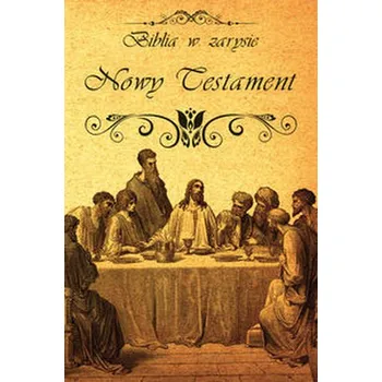 Biblia w zarysie Nowy Testament