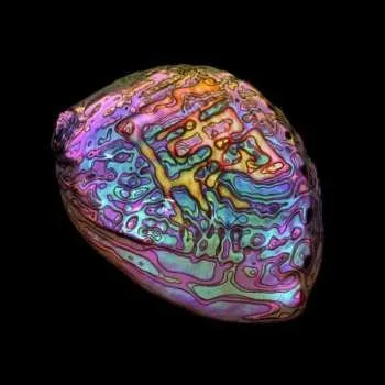 Zahraniční hudba LP Ian Chang: Belonging 2020