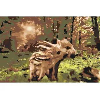 Malování podle čísel - Rodinka divočáků Velikost: 40x60cm, Rámování: Pouze srolované plátno