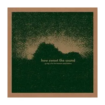 Zahraniční hudba LP G.Rag Y Los Hermanos Patchekos: How Sweet The Sound NUM | LTD 2018 Numbered Limited Edition Vinyl