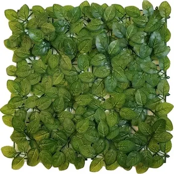 umělý živý plot FITTONIA ECONOMY, dílec 50 x 50 cm (Umělý živý plot - Stálezelená fitónia v ekonomické variantě)