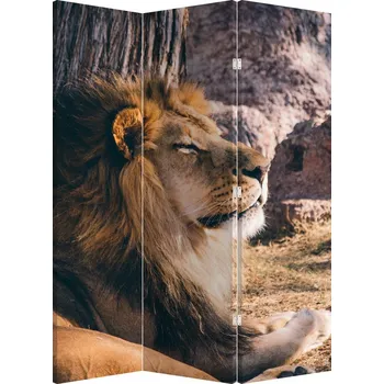 Paraván LuxusniObrazy.cz Paraván - Ležící lev