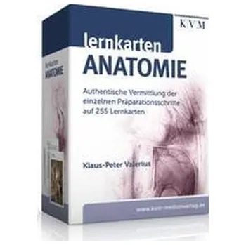 Lernkarten Anatomie - Valerius, Klaus-Peter