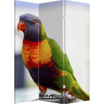 Paraván LuxusniObrazy.cz Paraván - Papoušek