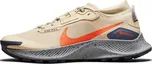 NIKE Pegasus Trail 3 Gtx Dc8793-200 46