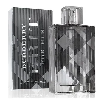 Burberry Brit Toaletní voda 100 ml For Men pro muže