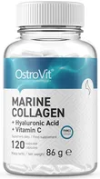 OstroVit Mořský Collagen 120 cps.