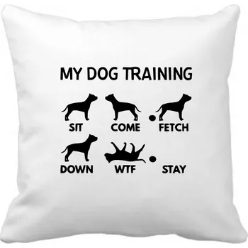 Polštář Fenomeno Polštářek - Training(pes)