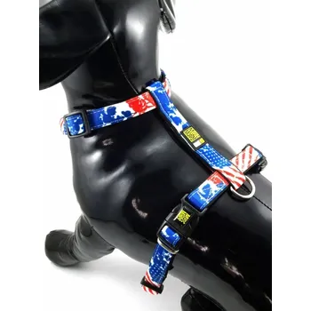 Postroj pro psa Max & Molly postroj PATRIOT US L