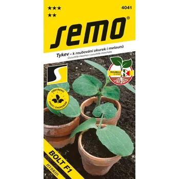 Semeno SEMO Tykev k roubování okurek