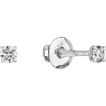 Náušnice Evolution Group 81012.1