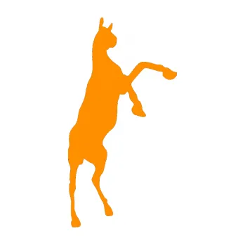 Samolepící dekorace Kůň 016 pravá (06 - oranžová) SAMOLEPKA NA AUTO, NÁLEPKA, FÓLIE, POLEP, TUNING, VLASTNÍ TEXT, TISK, AUTOSAMOLEPKY.cz, POLEPY, OBRÁZEK, LOGO, 3D STICKERS