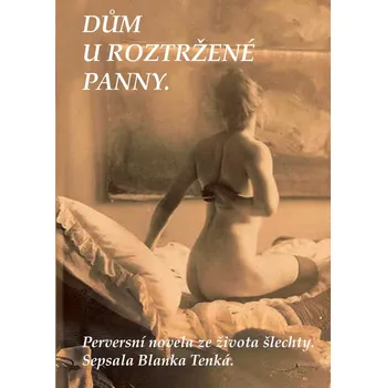 Dům U Roztržené panny: Perversní novela…