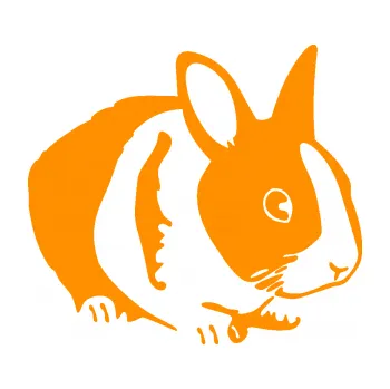 Samolepící dekorace SAMOLEPKA Králík 002 pravá zakrslý králíček (06 - oranžová) NA AUTO, NÁLEPKA, FÓLIE, POLEP, TUNING, VLASTNÍ TEXT, TISK, AUTOSAMOLEPKY.cz, POLEPY, OBRÁZEK, LOGO, SAMOLEPKY