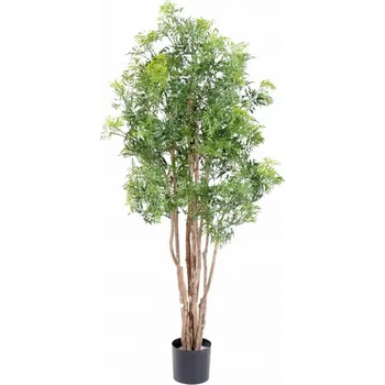 umělá květina Umělý strom Aralia Ming Nitida, 160cm