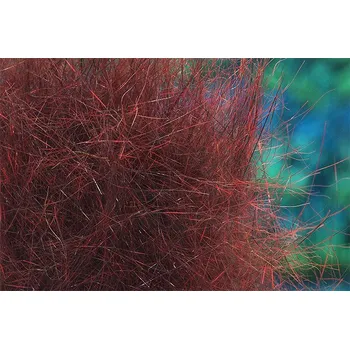 Troutline Squirrel Pure Dubbing Rusty Brown