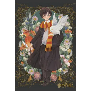 Plakát Plakát, Obraz - Harry Potter - Yume