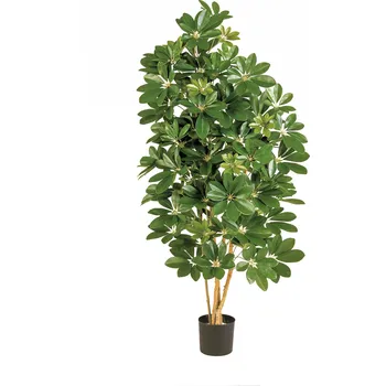 umělá květina Umělý strom Šeflera přírodní kmeny deluxe, 80cm