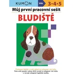 Můj první pracovní sešit: Bludiště - Yoshiko Murakami a kol. (2020, brožovaná)
