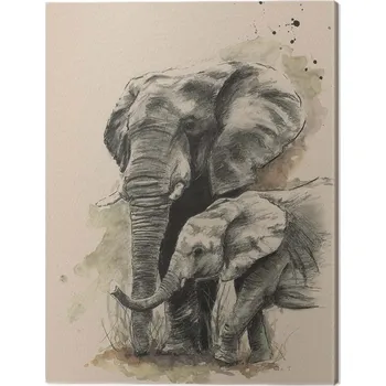 Obraz Obraz na plátně Sarah Stokes - Proud