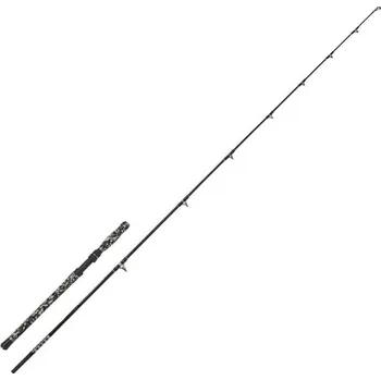 Volný čas Prut WFT Big Cat Boat Cat 150-550gr 2,40m