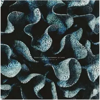 Zahraniční hudba LP Robot Koch: Otherwhere 2019