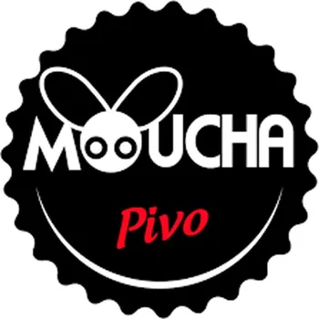 Pivo Americká Moucha 12° 30l