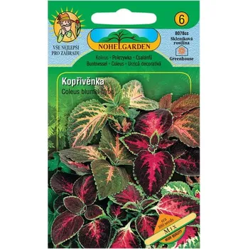 Semeno Nohel Garden Kopřivěnka zkřížená, směs