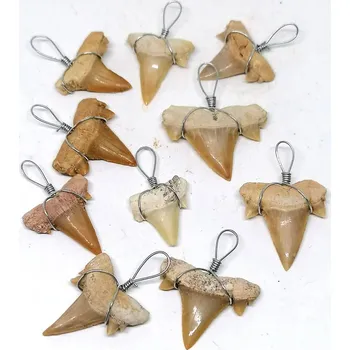 Přívěsek Fosilní zub žraloka jako přívěsek – originální šperk (1 ks)