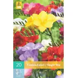 JUB Holland Single Mix frézie 15 ks