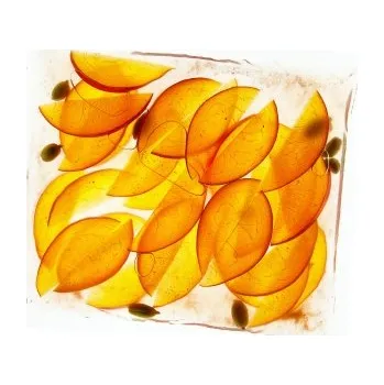 Sáček vroubkovaný 30x40cm pro externí vakuové balení (balení 100 ks) Sleva 55Kč