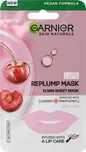 Garnier Skin Naturals Replump Mask 5 g…