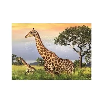 Dino Puzzle Žirafí Rodina 1000 dílků