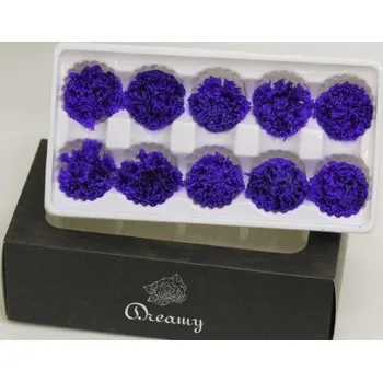 umělá květina Preparované karafiáty 10 ks modrá