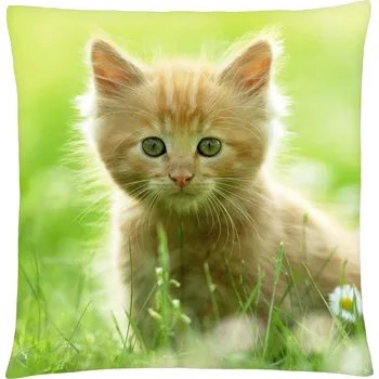 Polštář s motivem kočky 39 Mybesthome 40x40 cm Varianta: Povlak na polštář s prošívanou výplní, 40x40 cm