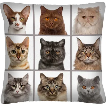 Polštář MyBestHome PRINT Polštář s motivem kočky 46 Mybesthome 40x40 cm Varianta: Povlak na polštář s prošívanou výplní, 40x40 cm