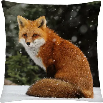 Polštář animal 50 - LIŠKA V LESE Mybesthome 40x40 cm Varianta: Povlak na polštář s prošívanou výplní, 40x40 cm